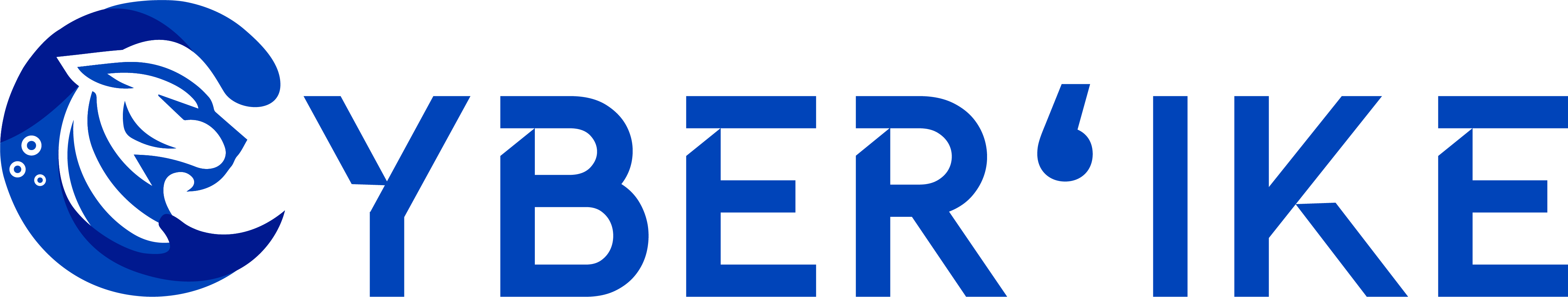 Cyber ʻIke